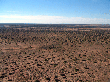 West-Texas.gif